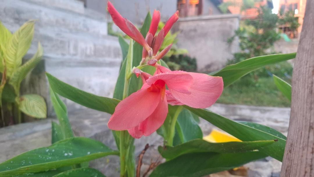 Photo of Outdoor in Hu'u
