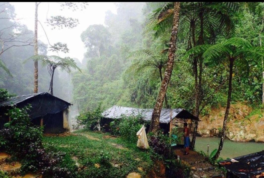 Photo of Others in Bukit Lawang