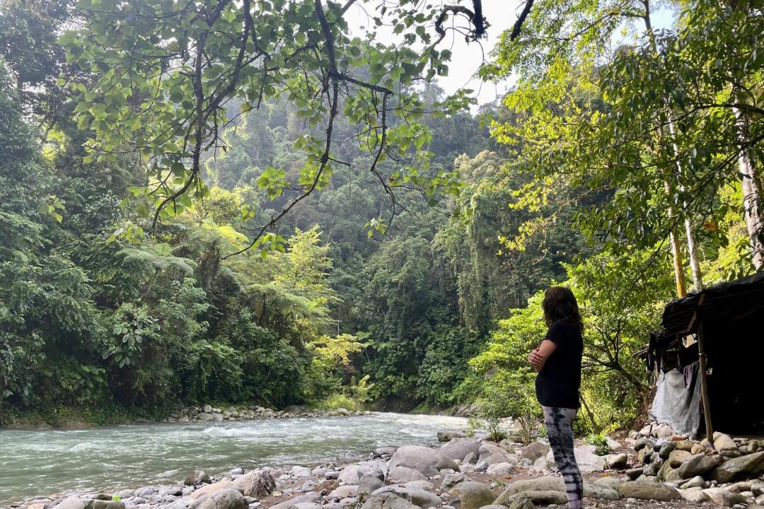 Photo of Others in Bukit Lawang