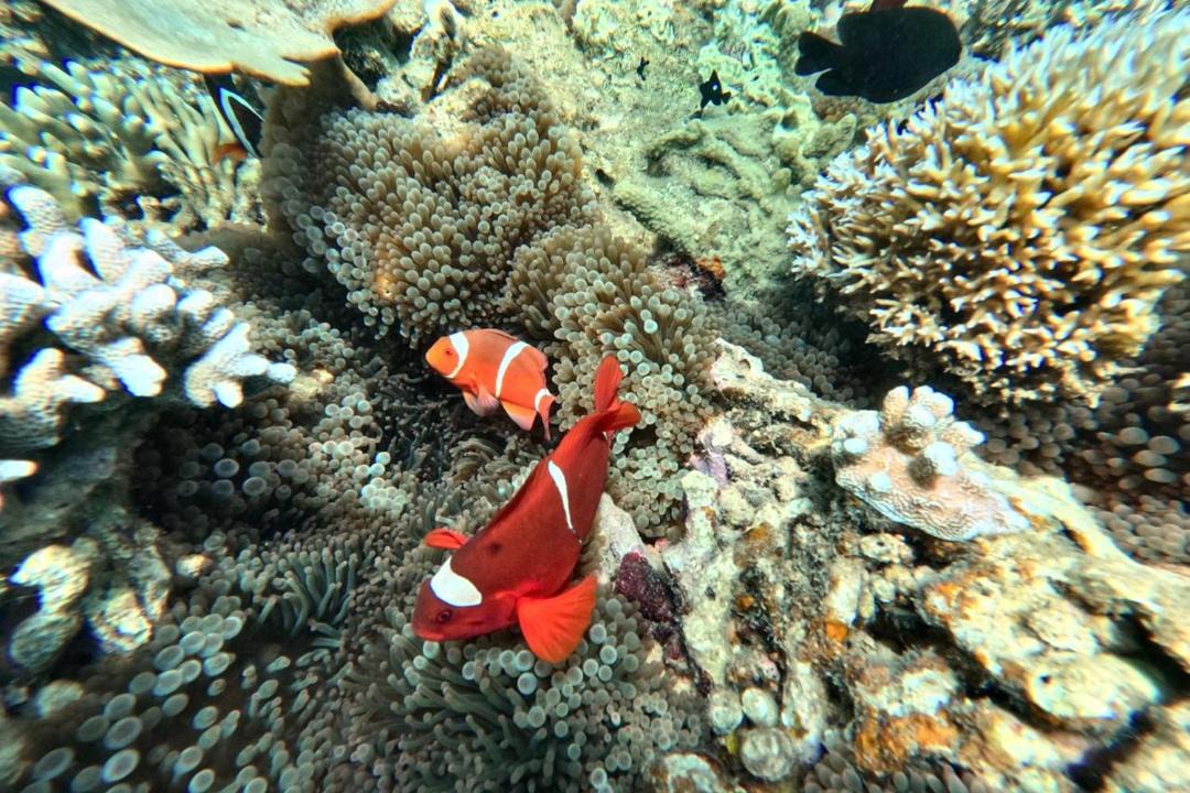 Photo of Others in Gili Gede
