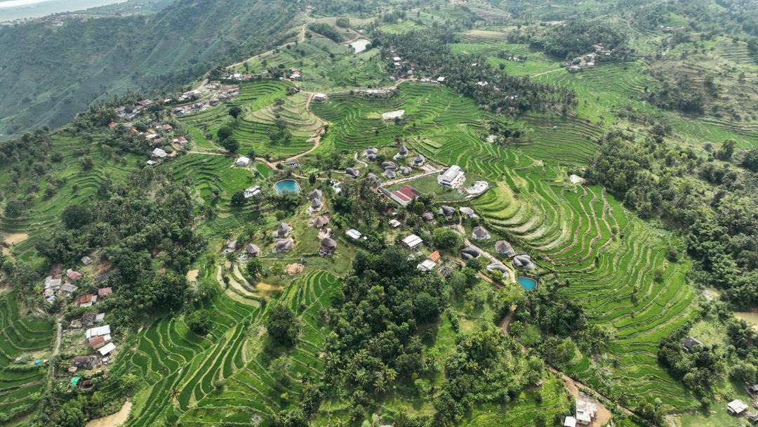 Photo of Others in Selong Belanak
