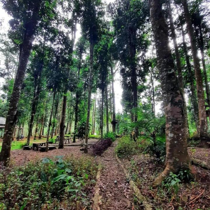Photo of Others in Pasirjambu