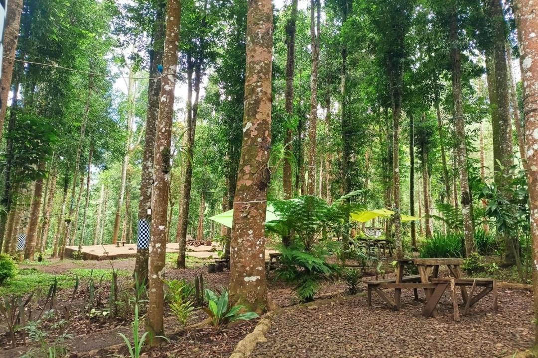 Photo of Others in Pasirjambu