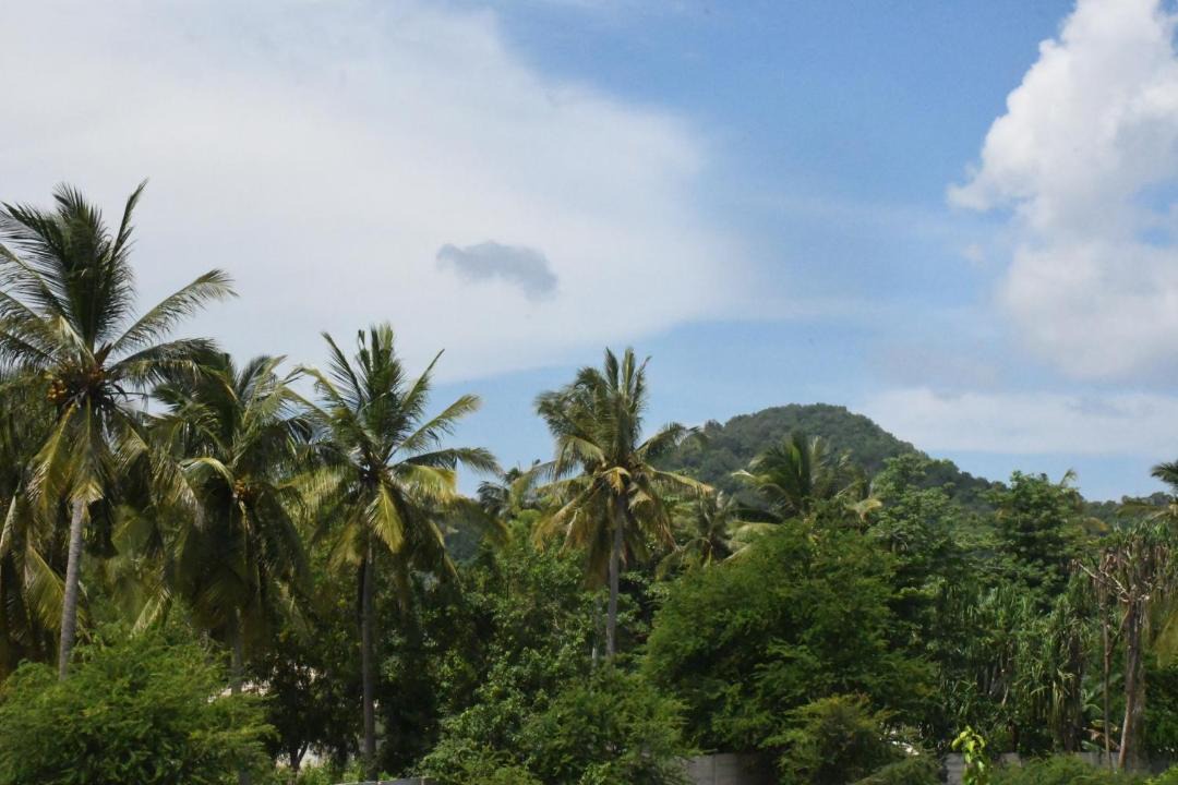 Photo of Others in Selong Belanak