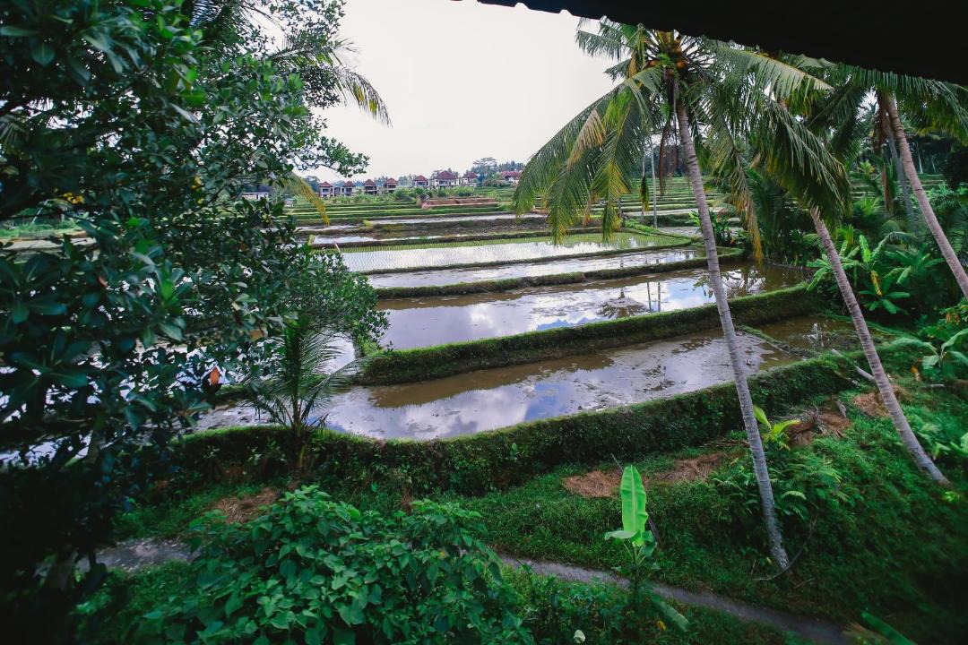 Photo of Others in Melayang