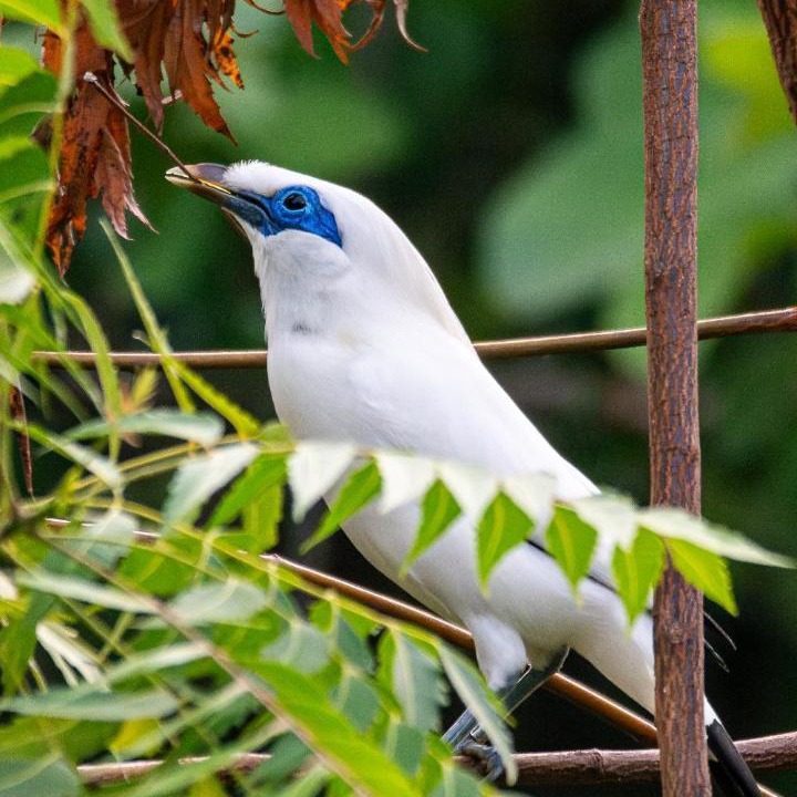 Photo of Others in Sumberklampok