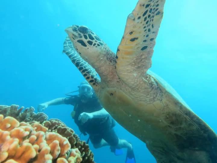 Photo of Others in Labuhan Lombok