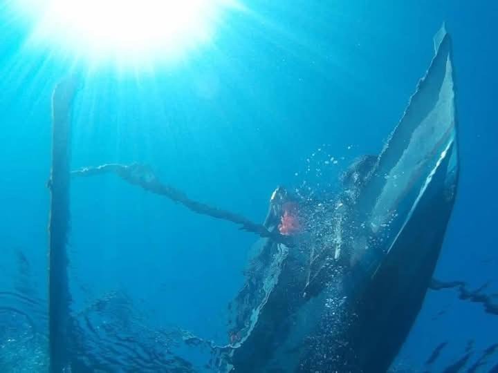 Photo of Others in Labuhan Lombok
