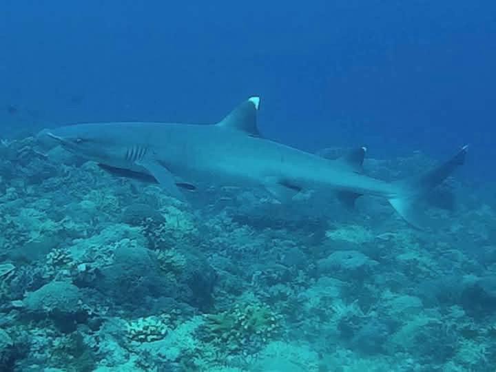 Photo of Others in Labuhan Lombok