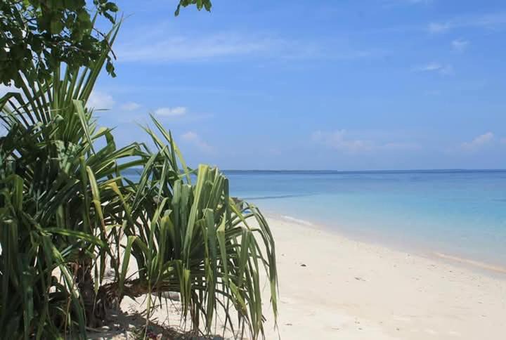 Photo of Others in Labuhan Lombok