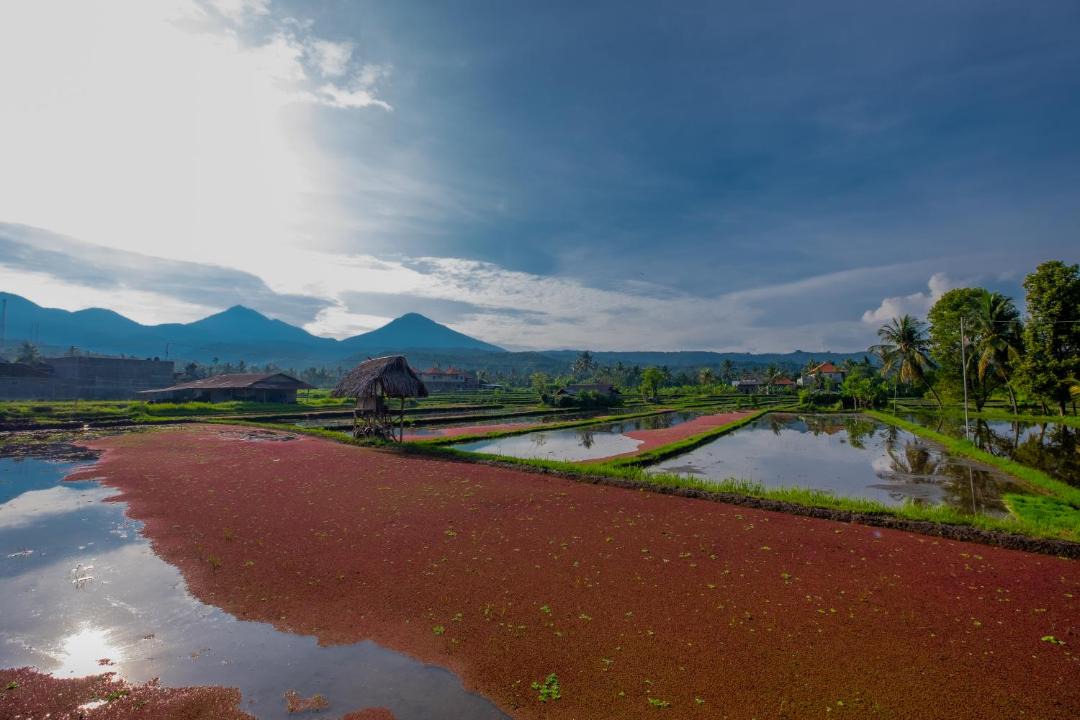 Photo of Others in Munduk