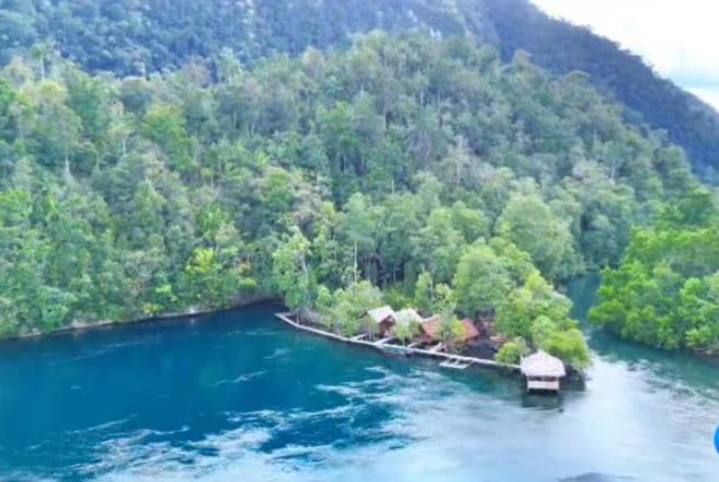 Photo of Others in Raja Ampat
