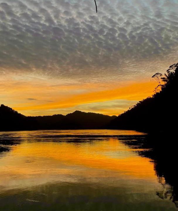 Photo of Others in Raja Ampat