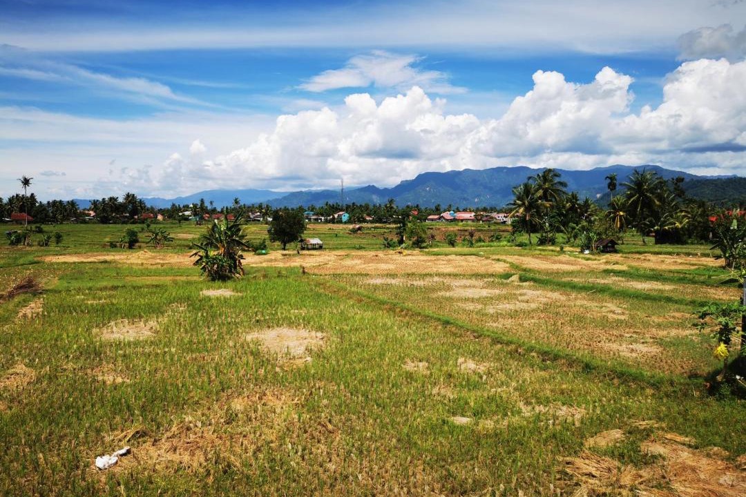 Photo of Others in Padang