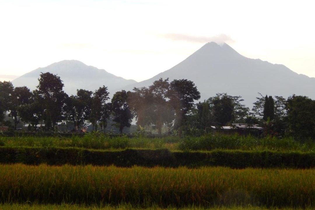 Photo of Others in Sleman