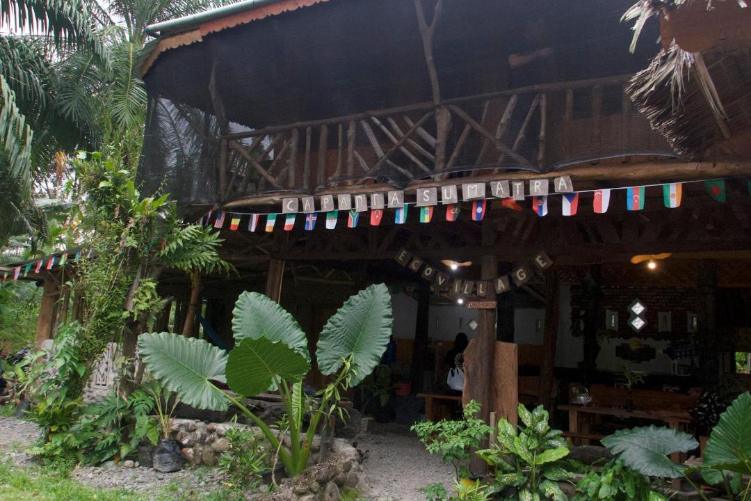 Photo of Others in Bohorok