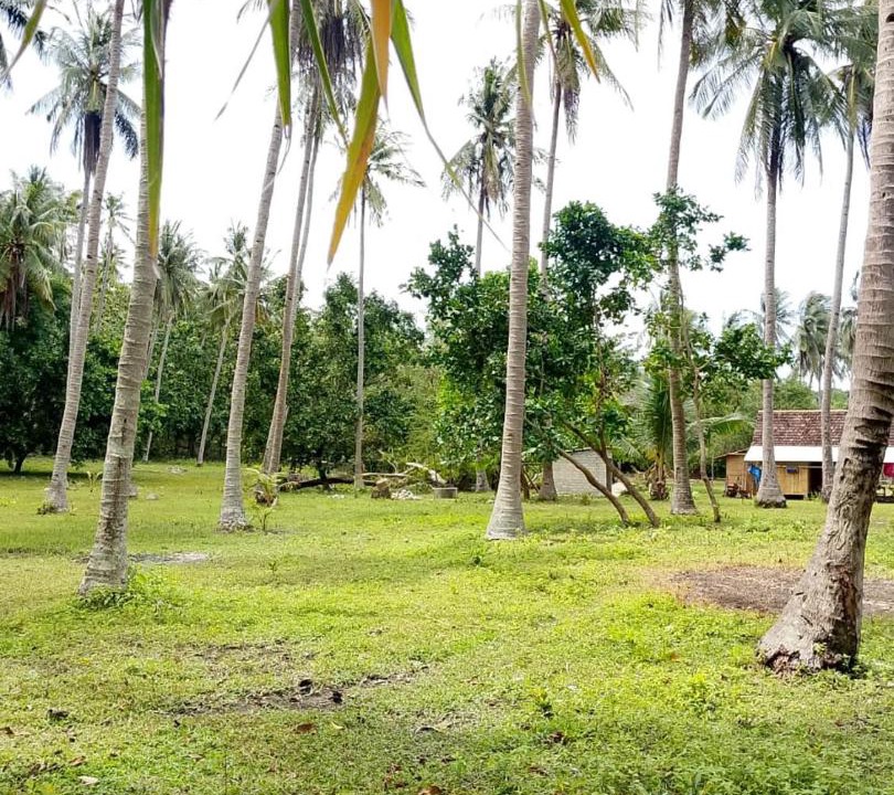 Photo of Others in Karimunjawa Islands