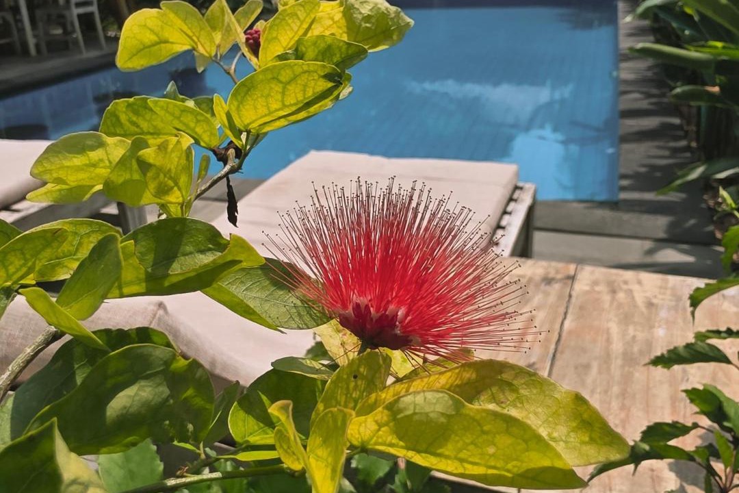 Photo of Others in Gili Air