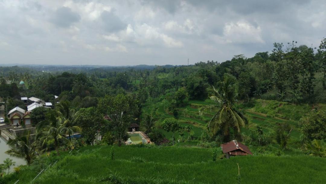 Photo of Others in Kecamatan Montong Gading
