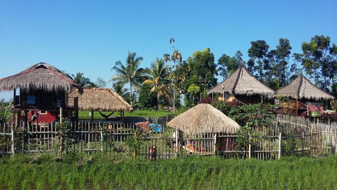 Photo of Others in Tetebatu
