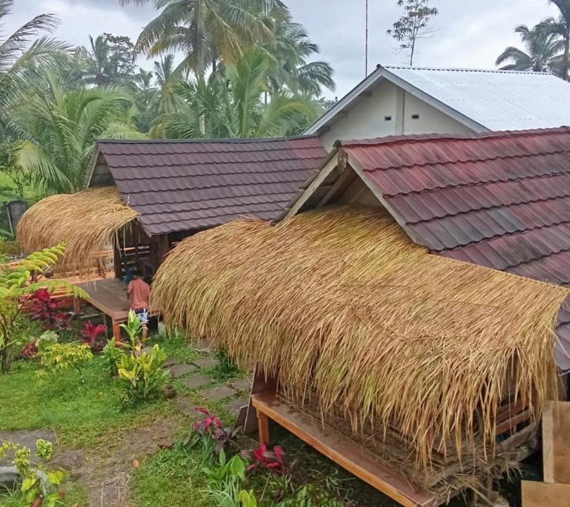 Photo of Others in Tetebatu