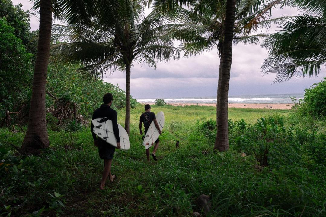 Photo of Others in Southwest Sumba