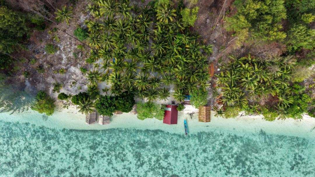 Photo of Others in Raja Ampat