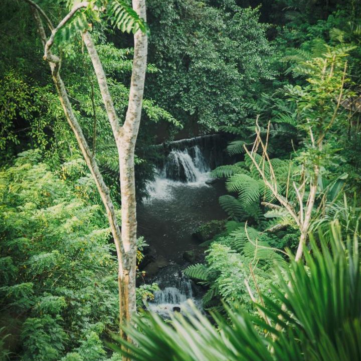 Photo of Others in Payangan