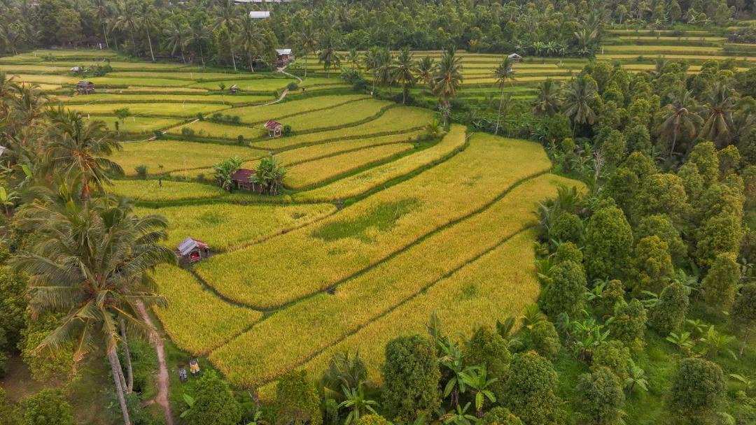 Photo of Others in Munduk