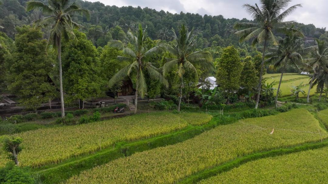 Photo of Others in Munduk