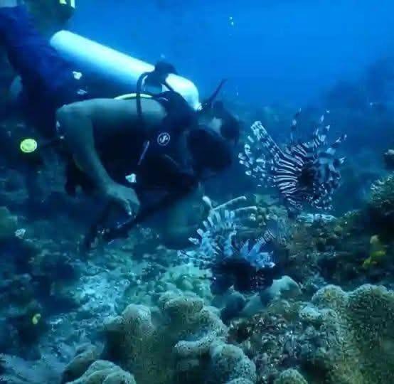 Photo of Others in Raja Ampat