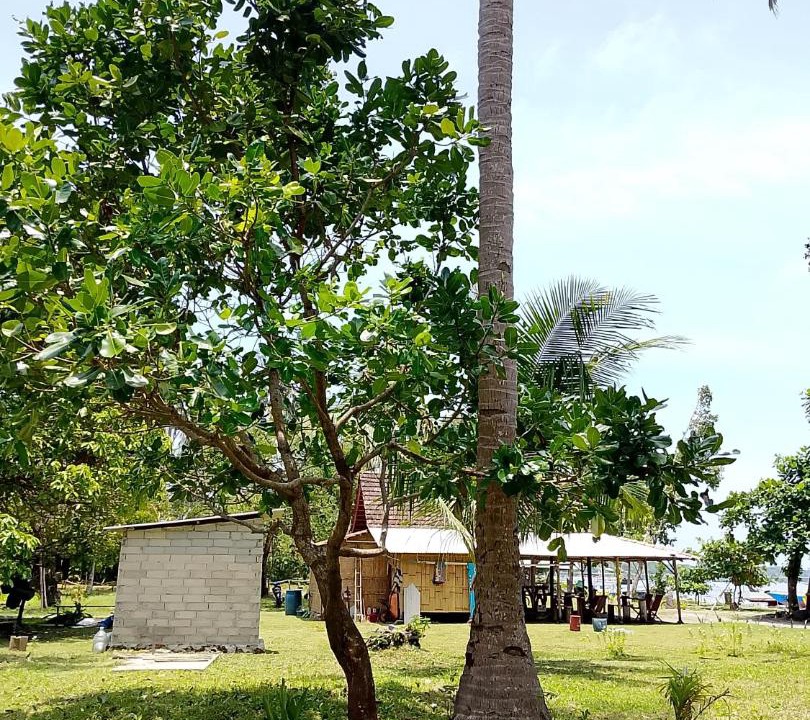 Photo of Others in Karimunjawa Islands