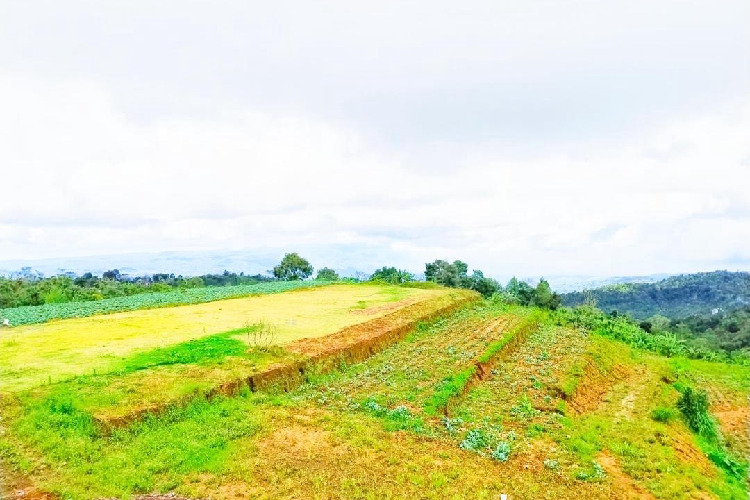 Photo of Others in Munduk