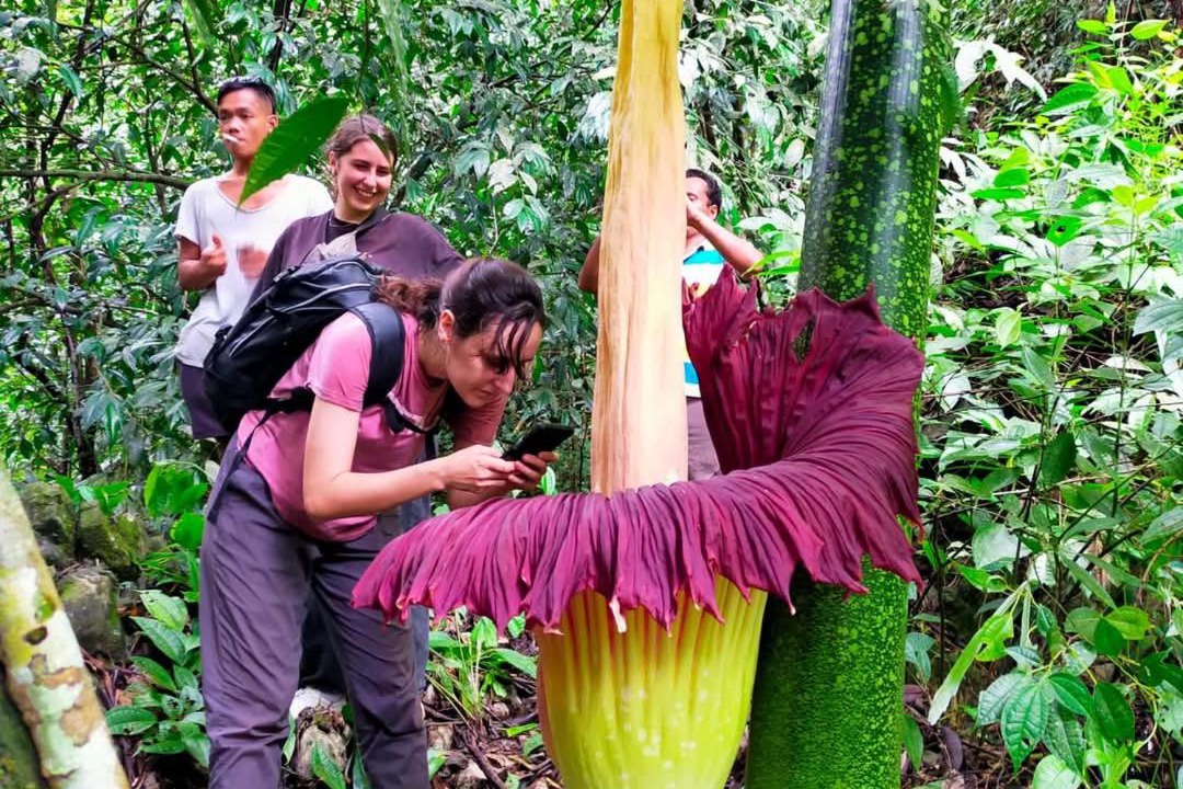 Photo of Others in Bukit Lawang