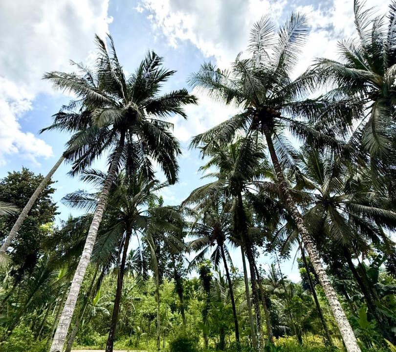 Photo of Others in Selong Belanak