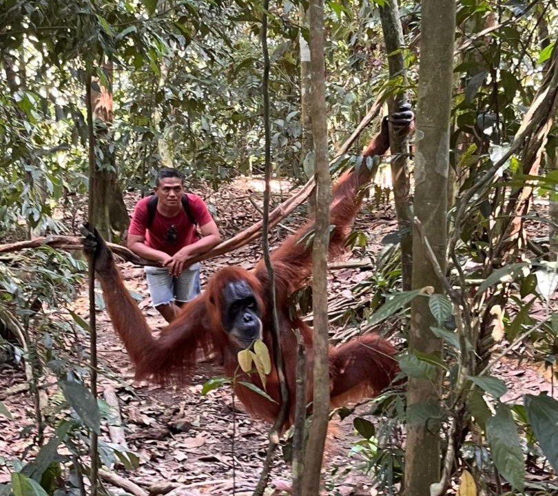 Photo of Others in Bukit Lawang