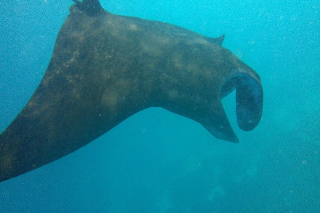 Photo of Others in Pulau Fam