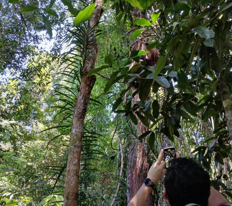 Photo of Others in Bukit Lawang