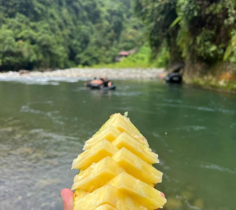 Photo of Others in Bukit Lawang
