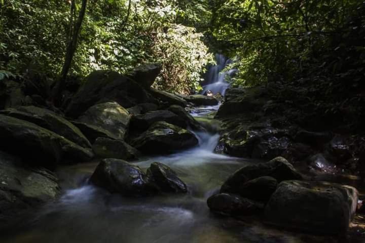 Photo of Others in Bukit Lawang