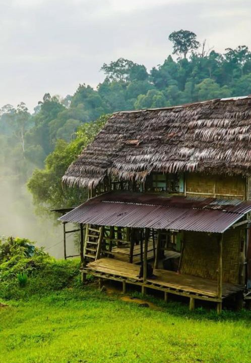 Photo of Others in Bukit Lawang