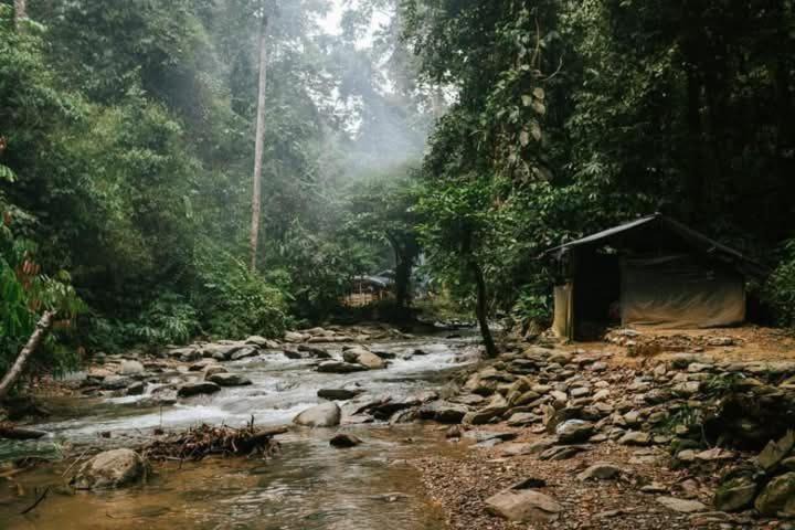 Photo of Others in Bukit Lawang