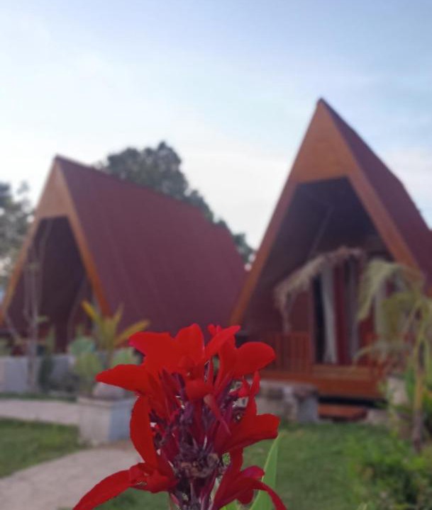 Photo of Others in Lombok
