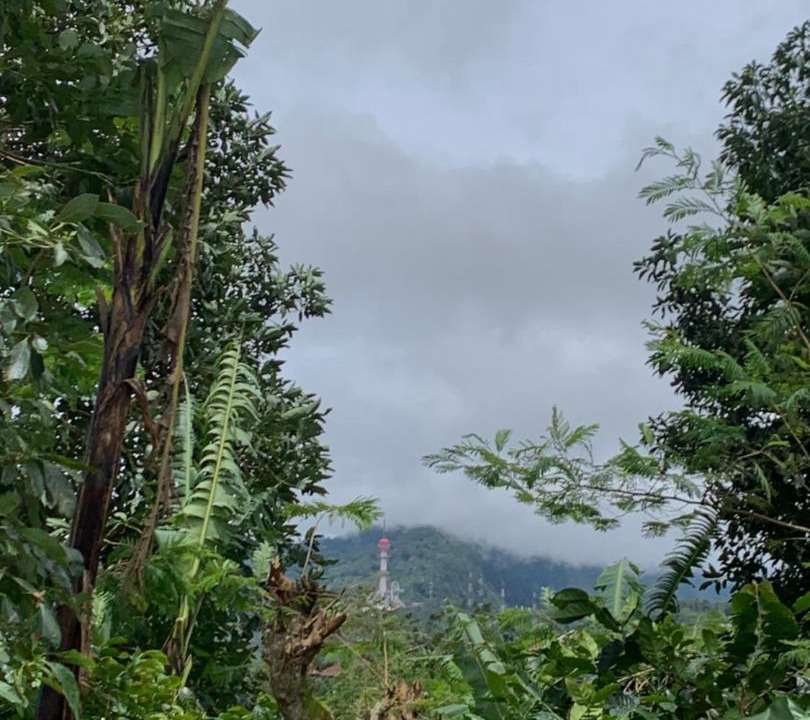 Photo of Others in Wanagiri
