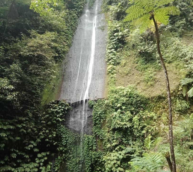 Photo of Others in Munduk