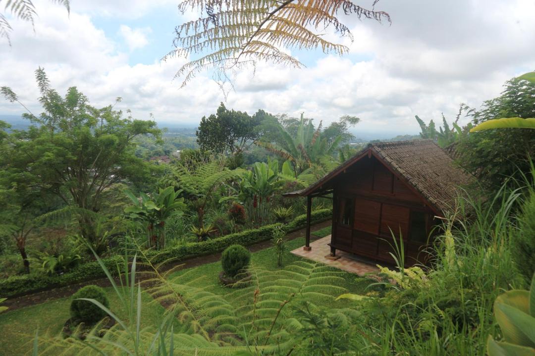 Photo of Others in Baturiti