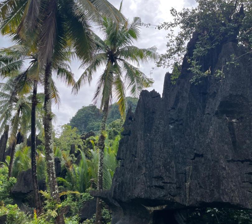 Photo of Others in Bantimurung