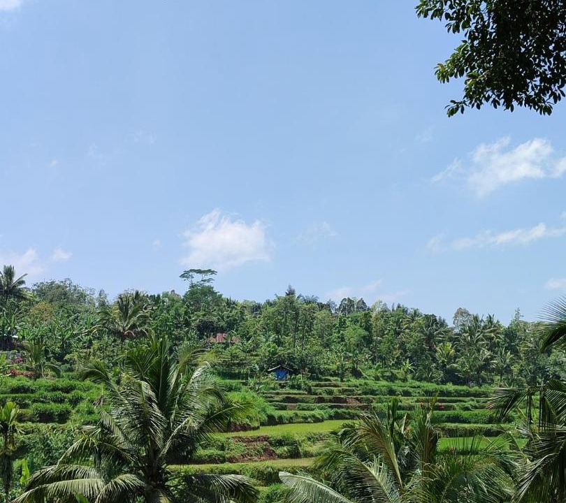 Photo of Others in Tetebatu