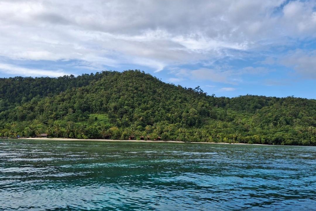Photo of Others in Mansuar Island