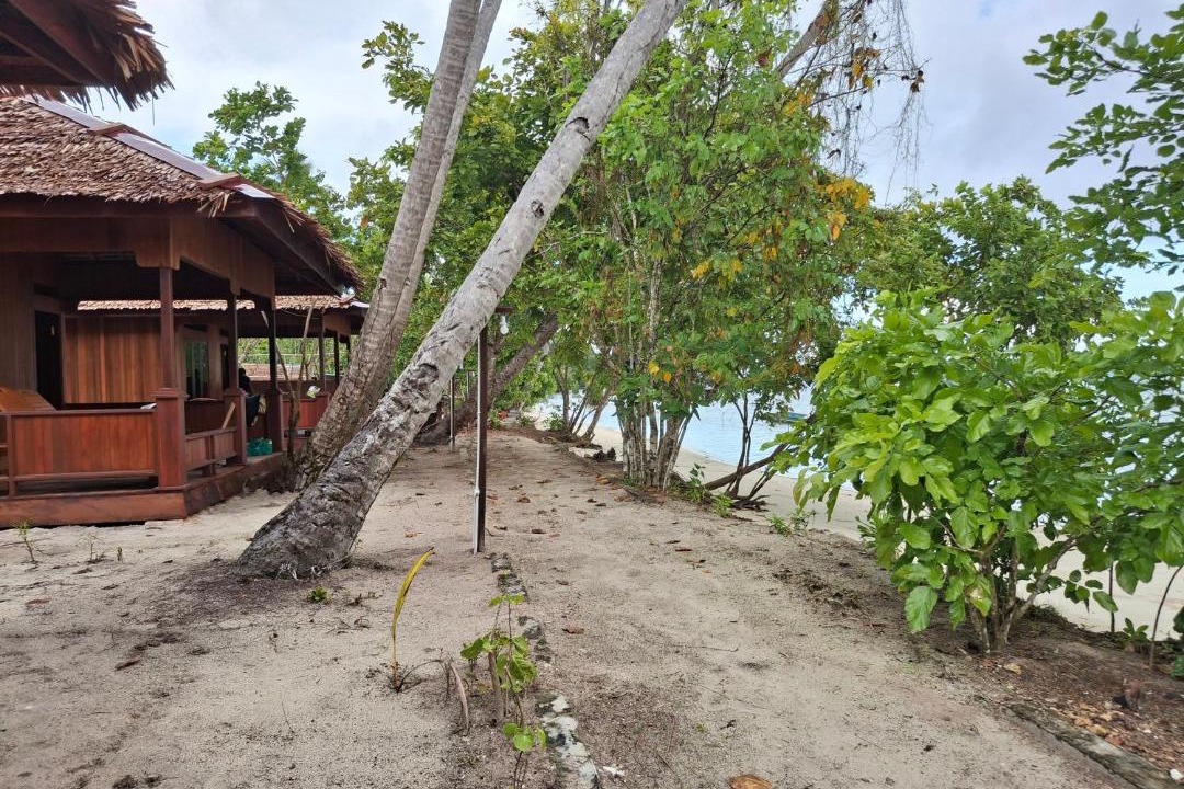 Photo of Others in Mansuar Island